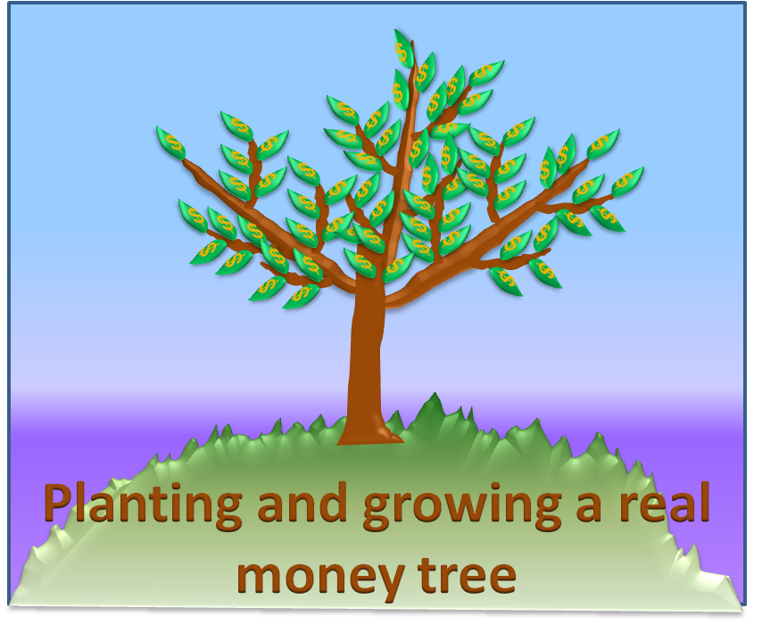 real life money tree